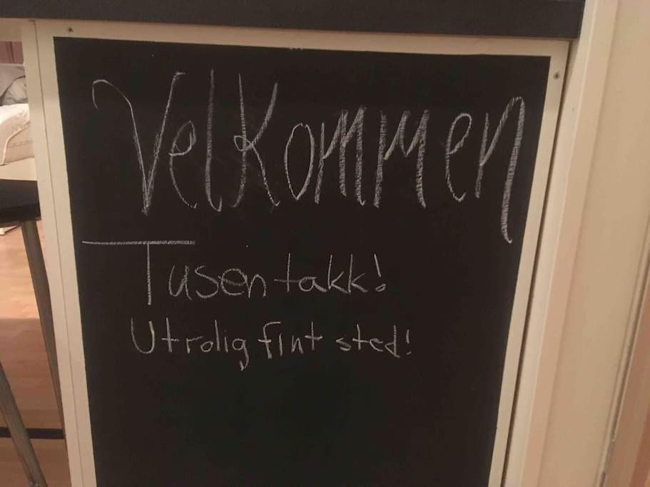 Apartmán Koselig Garasjeloft! Langevag Exteriér fotografie