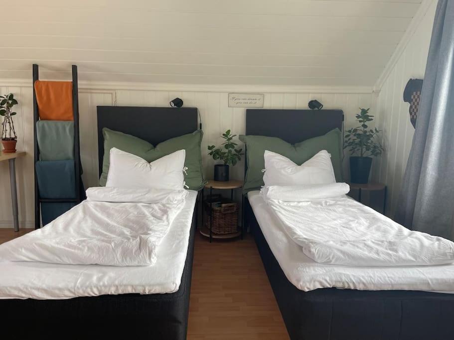 Apartmán Koselig Garasjeloft! Langevag Exteriér fotografie