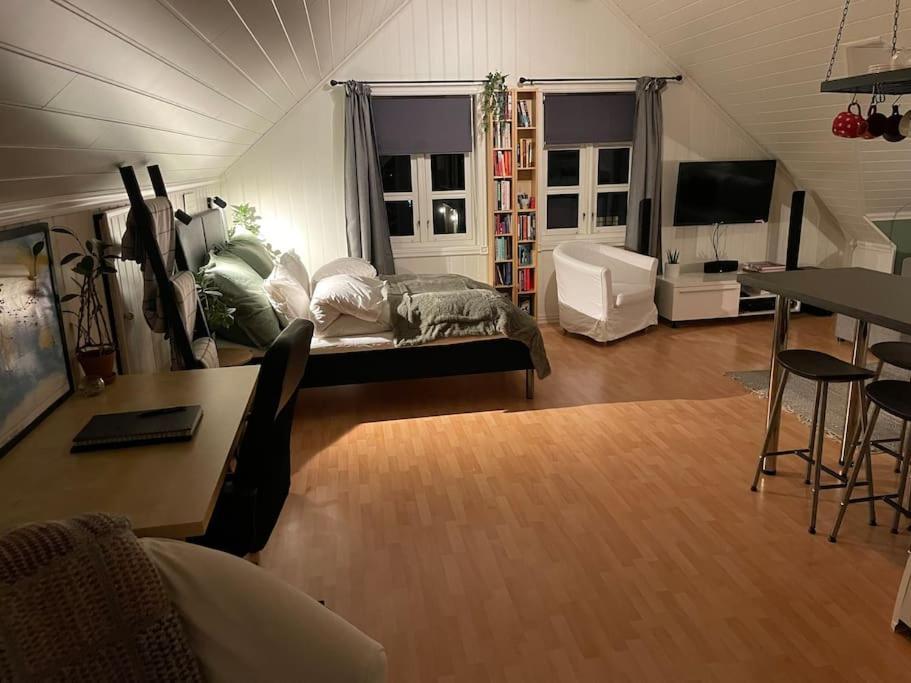 Apartmán Koselig Garasjeloft! Langevag Exteriér fotografie